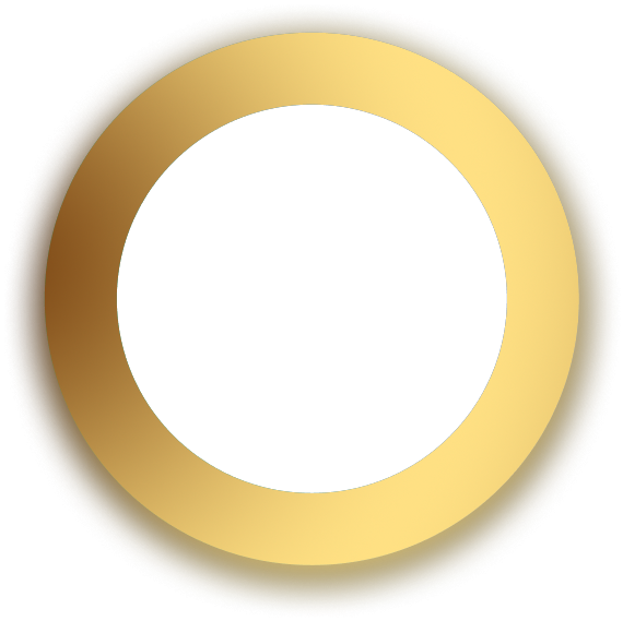 MDC Coin