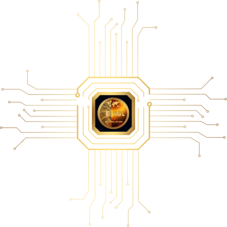 Meta Dollar Coin