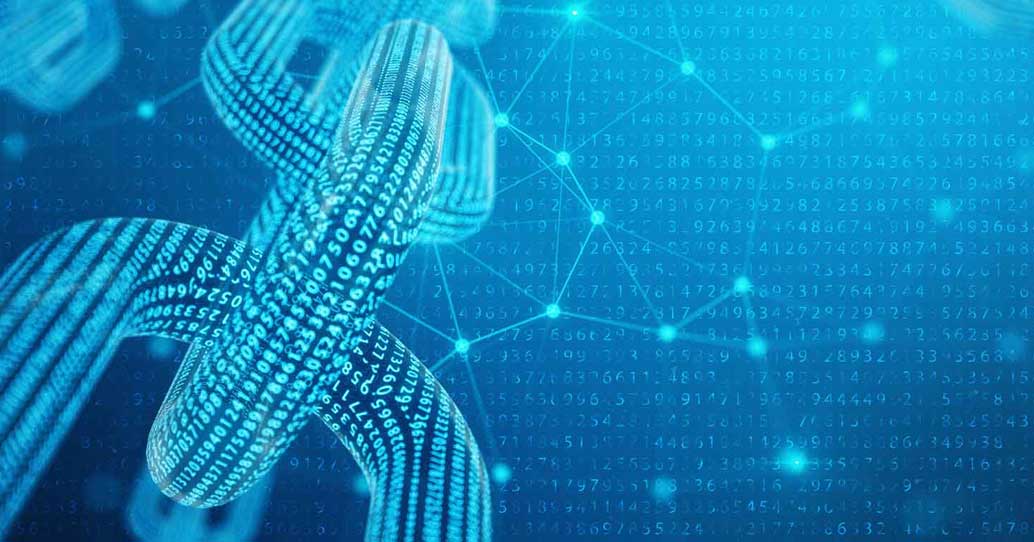MDC Coin | How It's Work